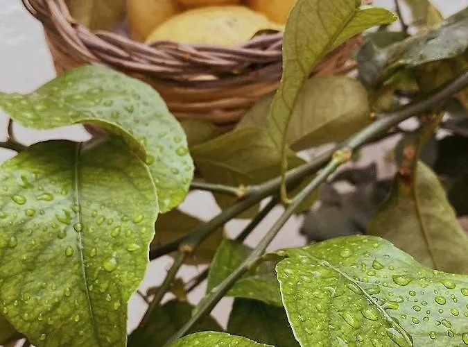 La Dimora Della Dea Estia فندق 3*