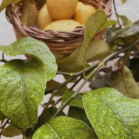 La Dimora Della Dea Estia Σπίτι διακοπών *
